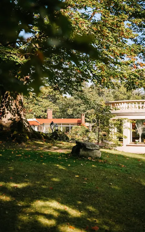 Vue panoramique du parc du Domaine Villa Clairemaison avec les bâtisses en arrière-plan au milieu des arbres centenaires