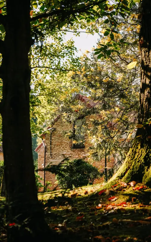 Bâtisse historique émergeant du parc boisé