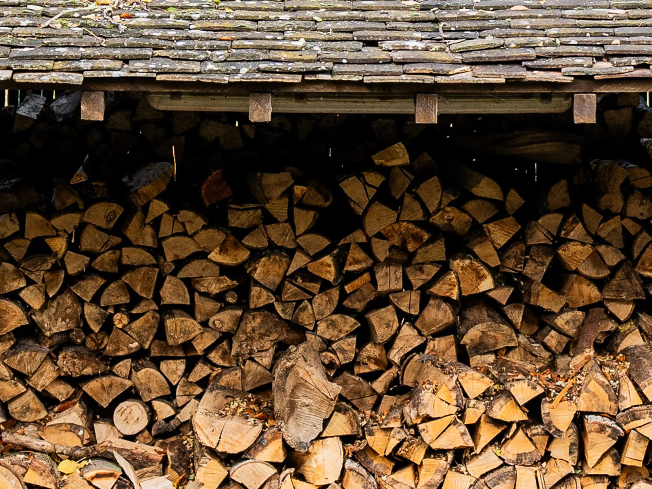 Abris pour le bois Villa Clairemaison domaine