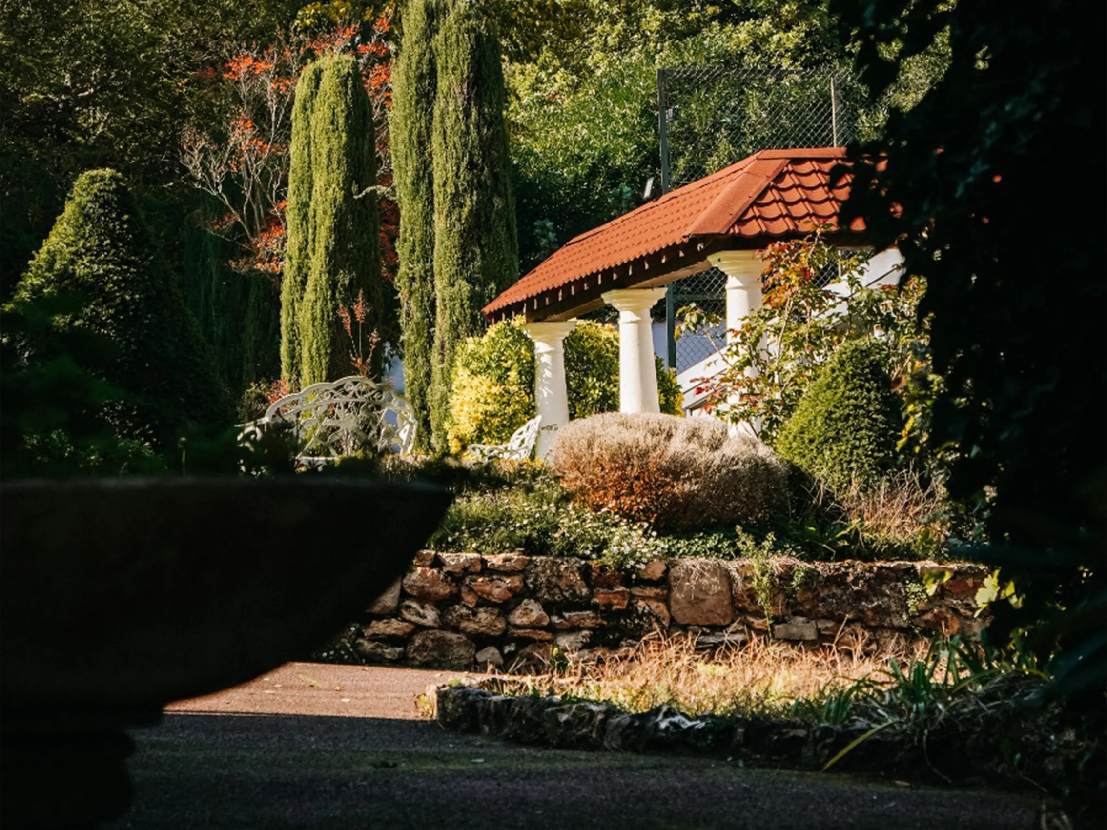 Allée d'arbres centenaires du domaine Villa Clairemaison Yvelines